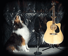 Barry's singing dog "Skyler"